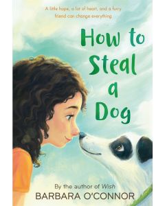 How to Steal a Dog