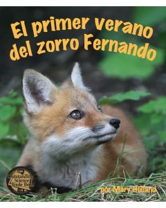 El primer verano del zorro Fernando