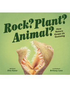 Rock? Plant? Animal? How Nature Keeps Us Guessing